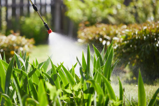 Tamper-Resistant Bait Stations for Rodents in South Zanesville