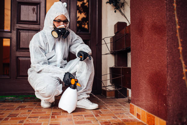 Attic and Crawl Space Rodent Treatment in South Zanesville