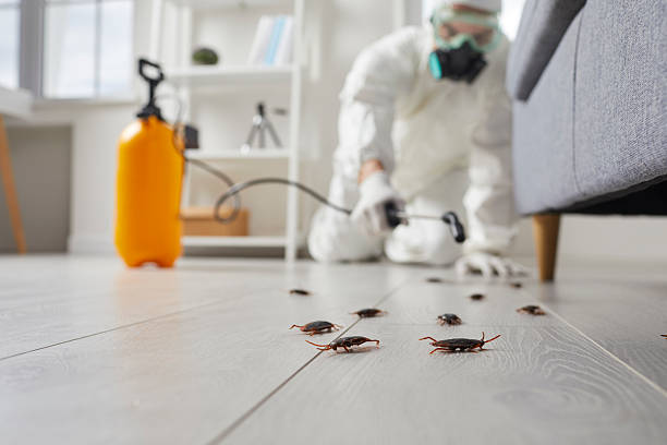 Commercial Rodent Management in South Zanesville